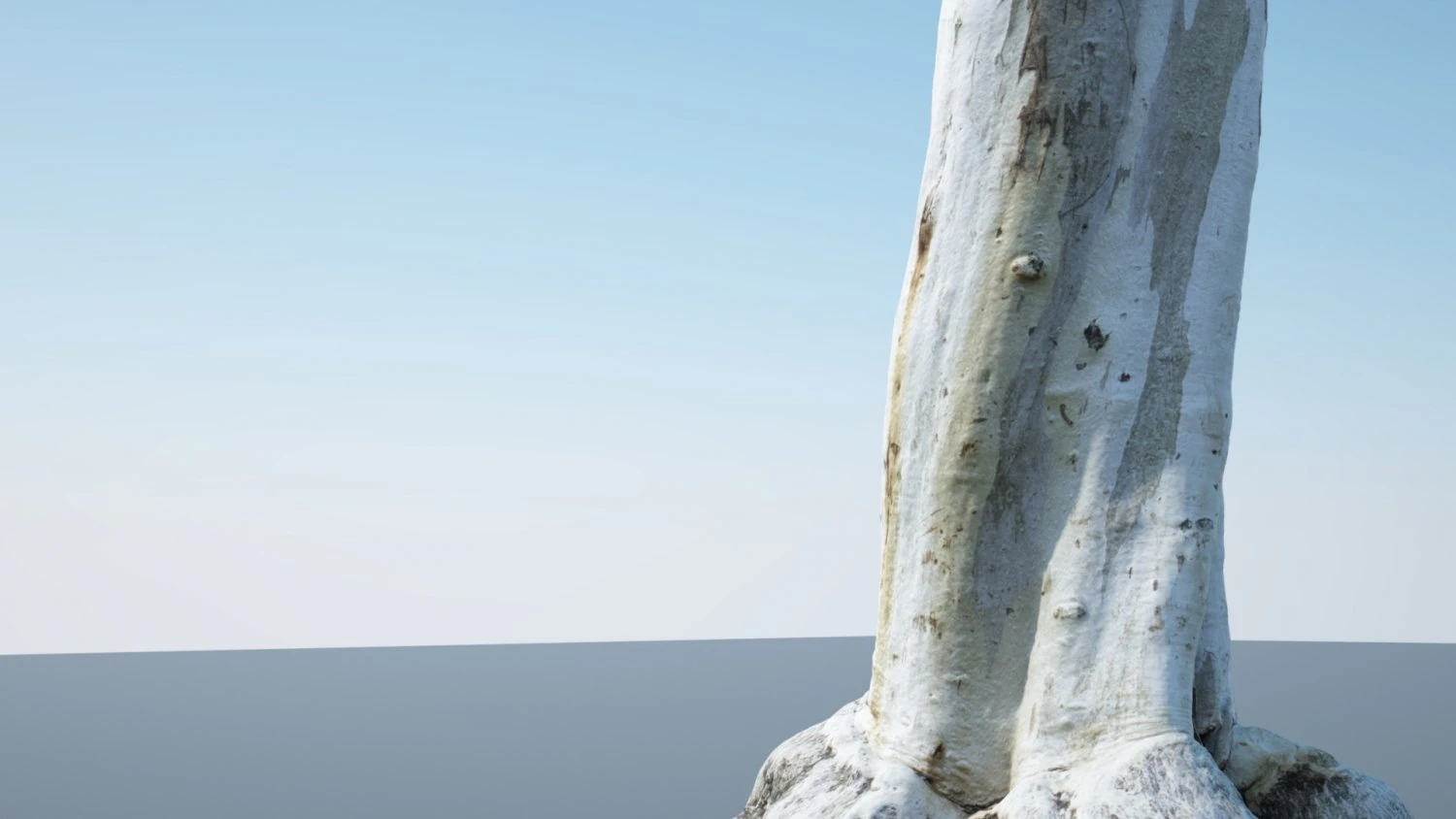 tree trunk - 12 3D Model .c4d .max .obj .3ds .fbx .stl .blend 