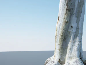 tronco de &aacute;rvore - 12 Modelo 3D