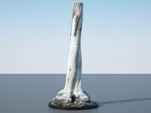 tree trunk - 12 Modello 3D