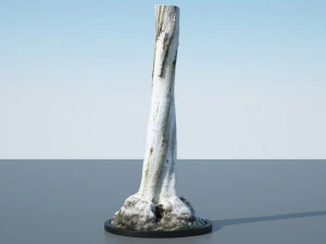 tree trunk - 12 3D Model