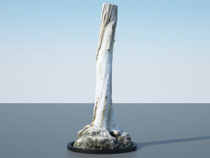tree trunk - 12 Modello 3D