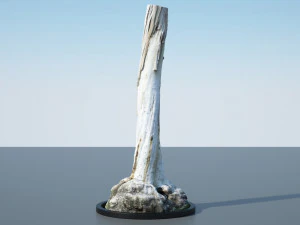 tree trunk - 12 3D Model