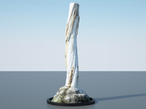 tree trunk - 12 Modello 3D