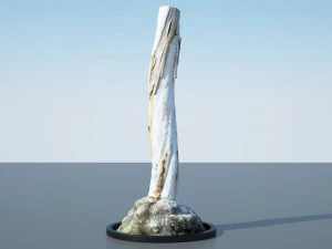 tree trunk - 12 3D Model