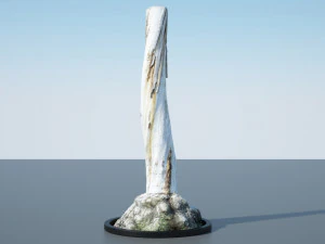 tree trunk - 12 3D Model