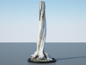 tree trunk - 12 Modello 3D