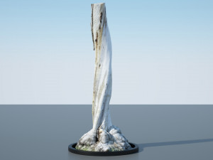 tree trunk - 12 Modello 3D