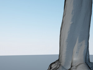 tree trunk - 12 Modello 3D