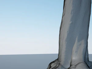 tree trunk - 12 3D Model
