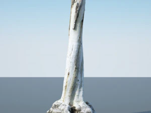 tree trunk - 12 3D Model