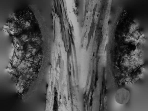 tree trunk - 12 3D Model