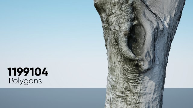 ultra realistic tree trunk 3D Модель .c4d .max .obj .3ds .fbx .stl .blend 