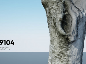 ultra realistic tree trunk 3D Model