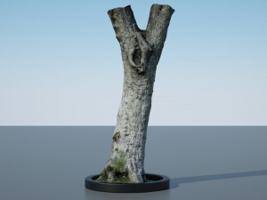ultra realistic tree trunk 3D Модель