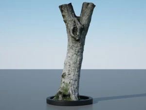 ultra realistic tree trunk 3D Model