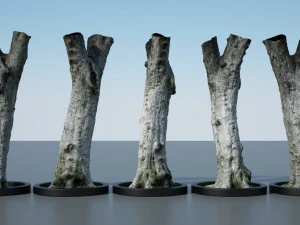 ultra realistic tree trunk 3D Model