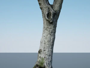 ultra realistic tree trunk 3D Model