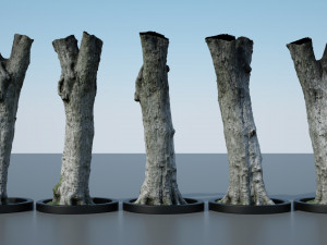 ultra realistic tree trunk 3D Модель