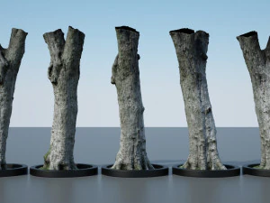 ultra realistic tree trunk 3D Model
