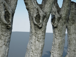 ultra realistic tree trunk 3D Модель