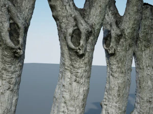 ultra realistic tree trunk 3D Model