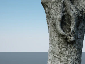 ultra realistic tree trunk 3D Model