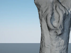 ultra realistic tree trunk 3D Model