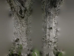 ultra realistic tree trunk 3D Model