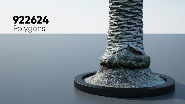 ultra realistic palm tree Model 3D .c4d .max .obj .3ds .fbx .stl .blend 