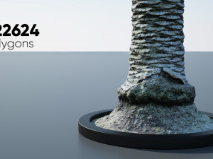 ultra realistic palm tree 3D Model