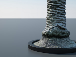 ultra realistic palm tree Model 3D
