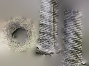 ultra realistic palm tree Model 3D