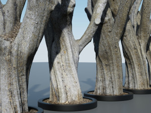 detailed tree trunk - 16 Modelo 3D