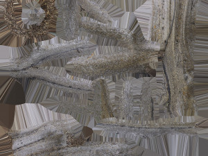 detailed tree trunk - 16 Modelo 3D