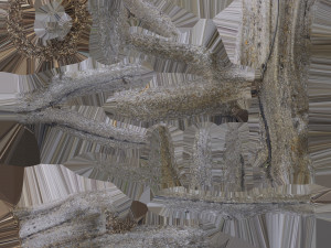 detailed tree trunk - 16 Modelo 3D