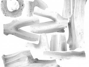 detailed tree trunk - 16 Modelo 3D