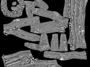 detailed tree trunk - 16 Modelo 3D