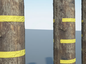 utility pole 3D Model