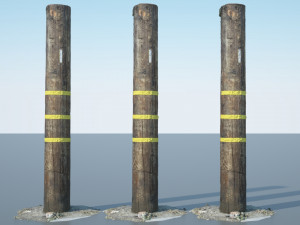 utility pole Modèle 3D