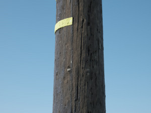 utility pole 3D-Modell