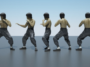 bruce lee action figure Modello 3D