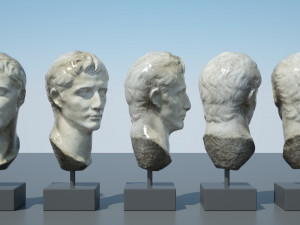 augustus 3D Modell