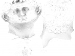 augustus 3D Modell