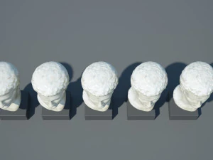 калігула 3D Модель