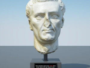 head of nerva 3D Model