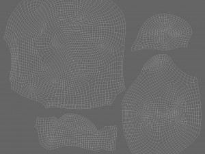 head of nerva 3D Model