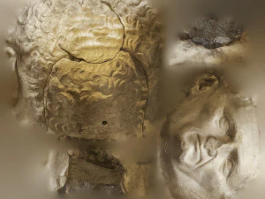 head of nerva 3D Model