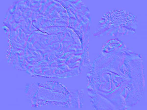 head of nerva 3D Model