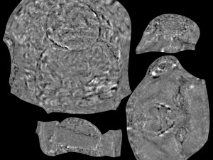 head of nerva 3D Model