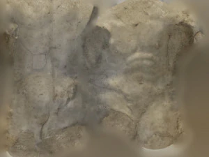 Геркулес 3D Модель